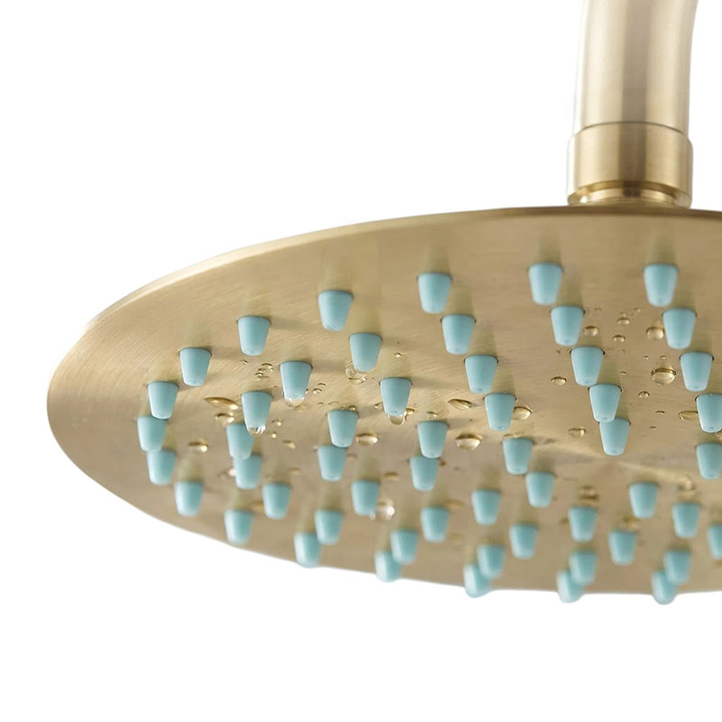 Three-Function Built-in Shower System